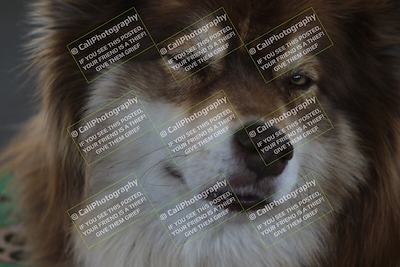 media/Oct-30-2025-Racers Edge (Thu) [[dabbdaf680]]/1-Around the Pits- Track Walk/